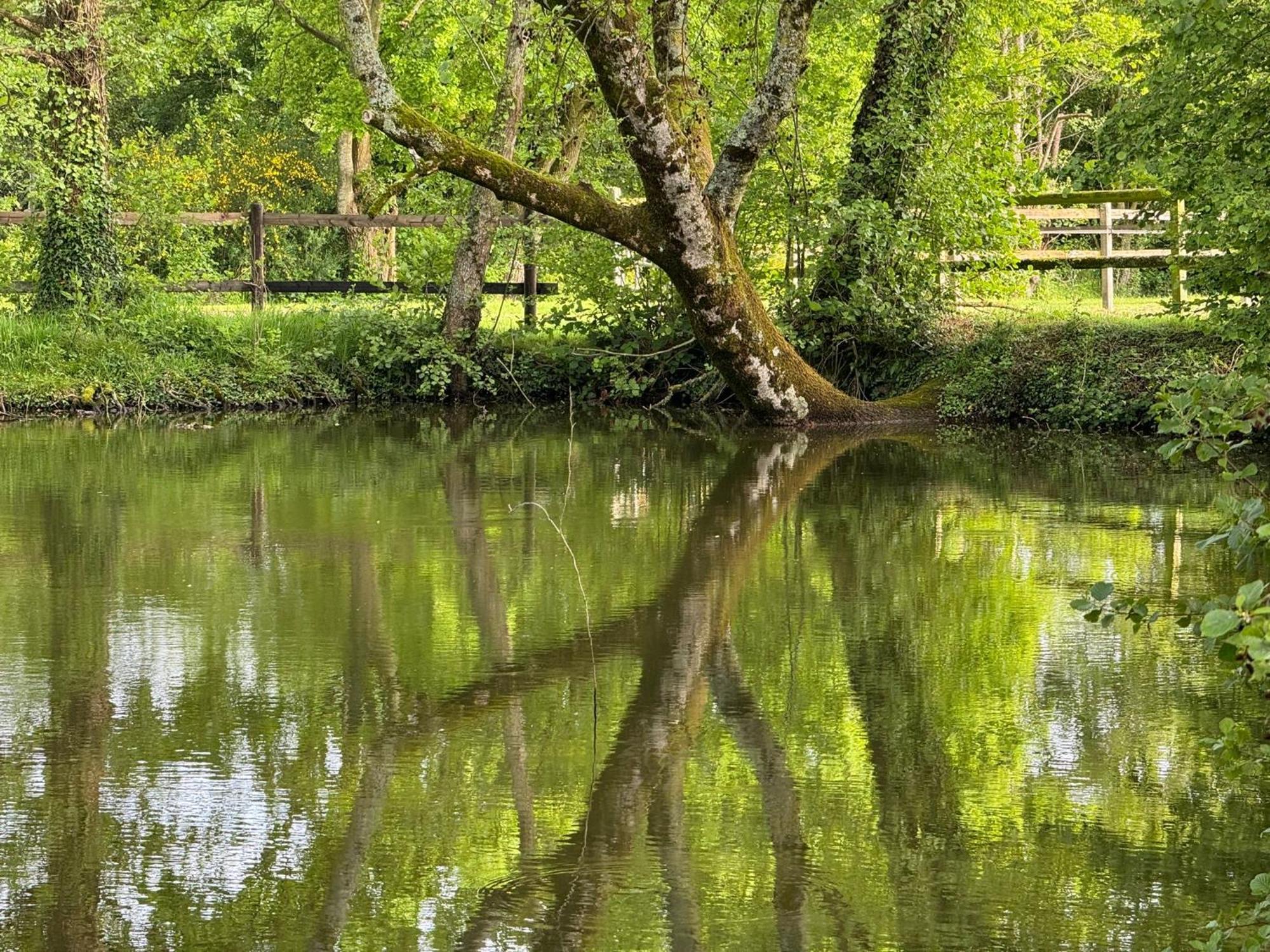 Manerbe La Maison De L'Etang מראה חיצוני תמונה